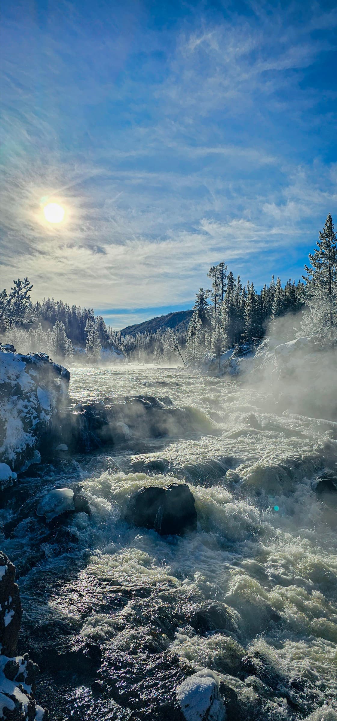 A steaming river in winter, backlit sun flaring through snow-covered pines.
